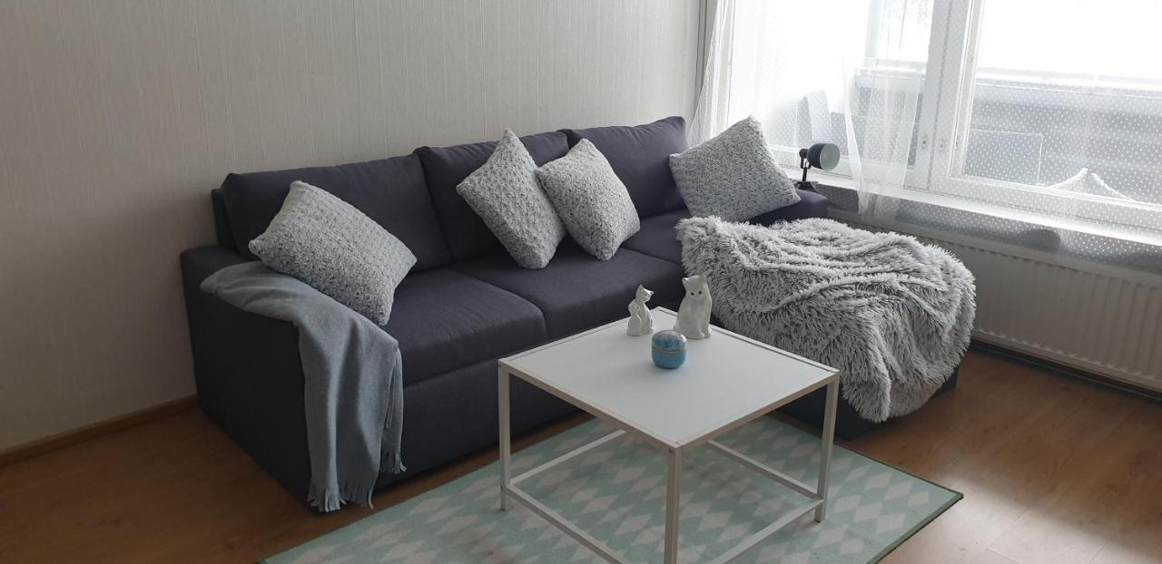 City Apartment Pieksaemaki بايكساماكي المظهر الخارجي الصورة